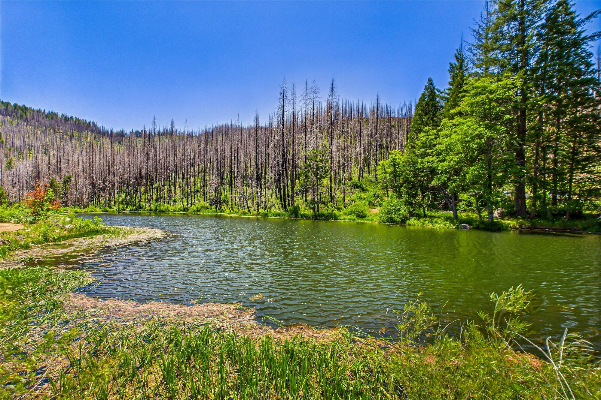 2103 Coffee Creek Road Trinity Center, CA 96091 - Photo 41 of 49