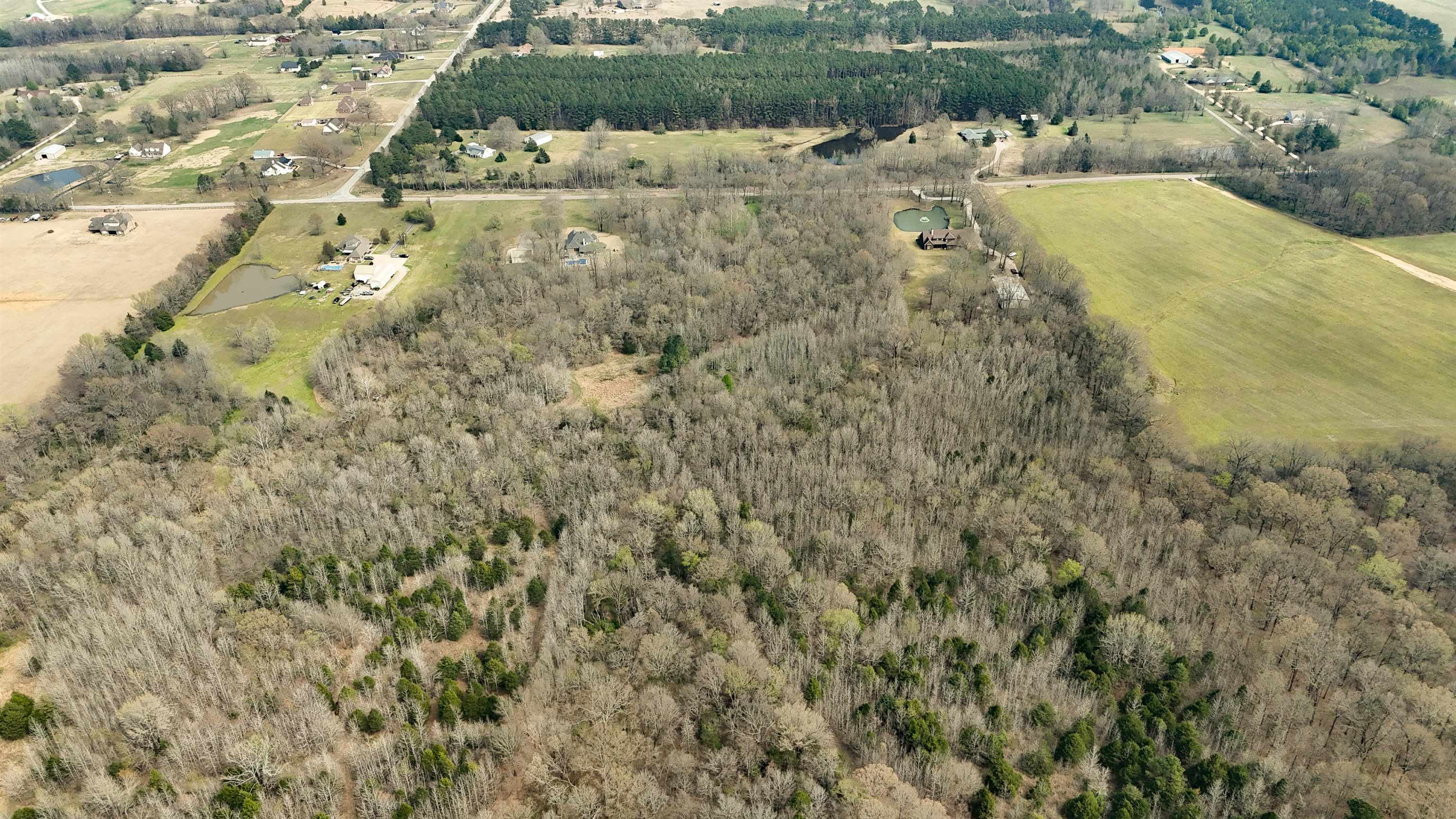 0 Payne Road Oakland, TN 38060 - Photo 3 of 7