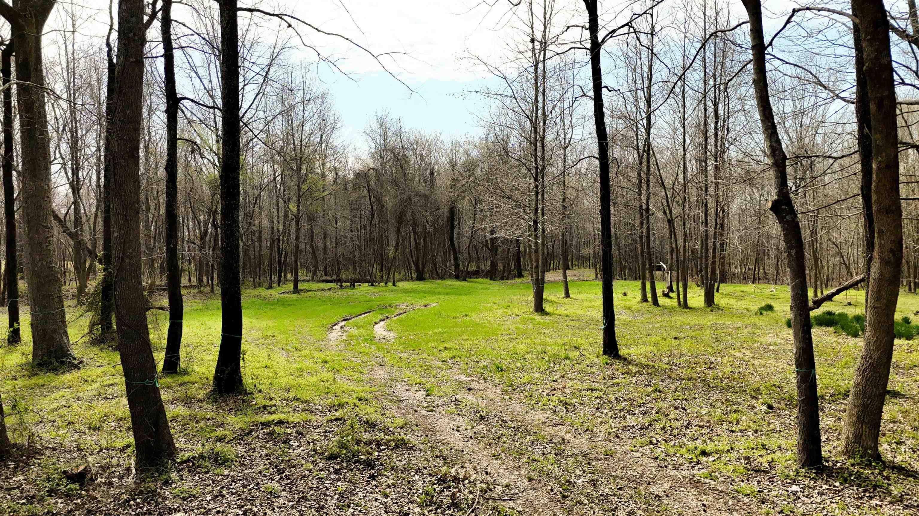 0 Payne Road Oakland, TN 38060 - Photo 5 of 7