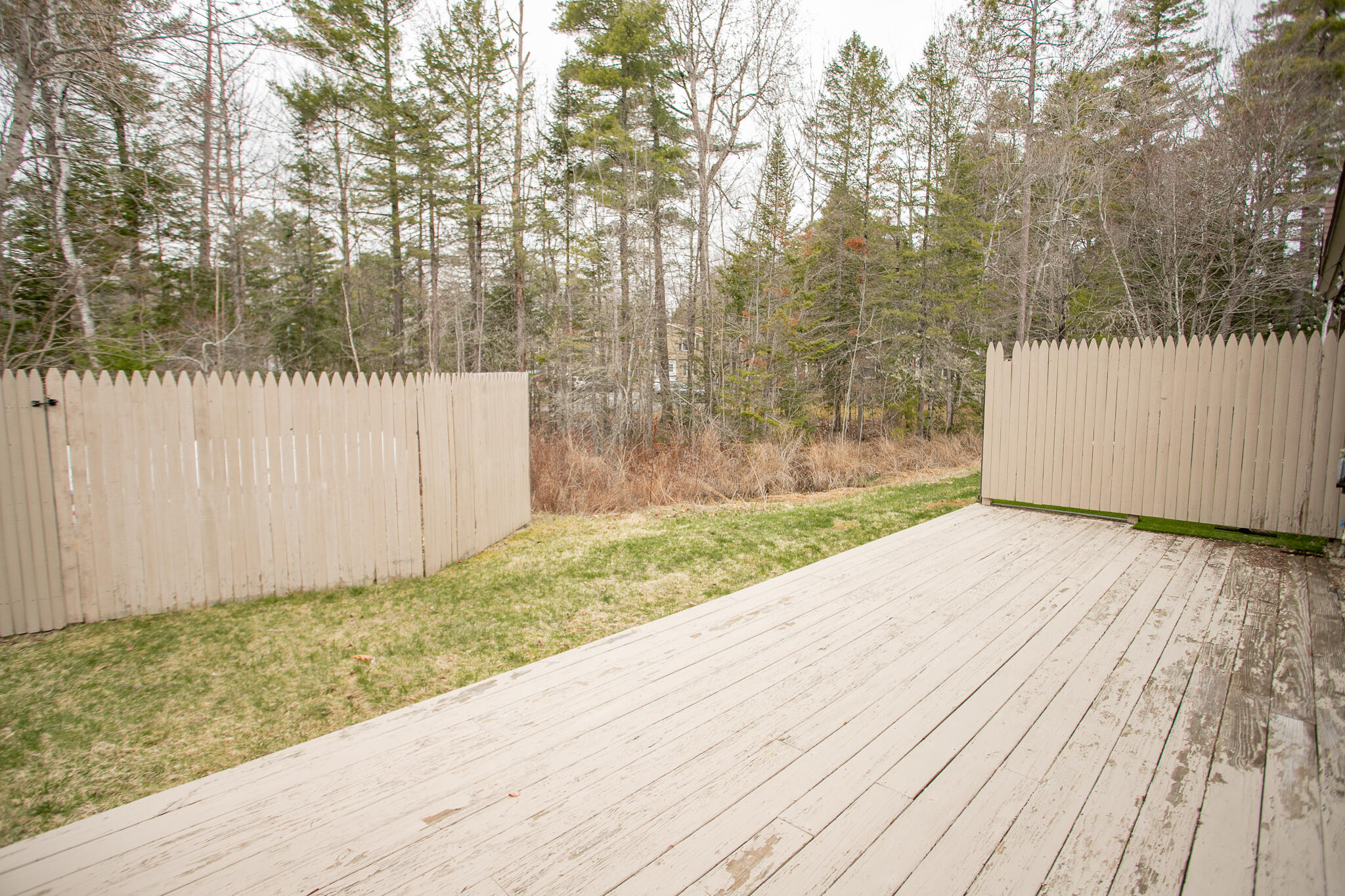 10 Hubbard Farms Road, Unit 6 Orono, ME 04473 - Photo 19 of 24 IMG_0131