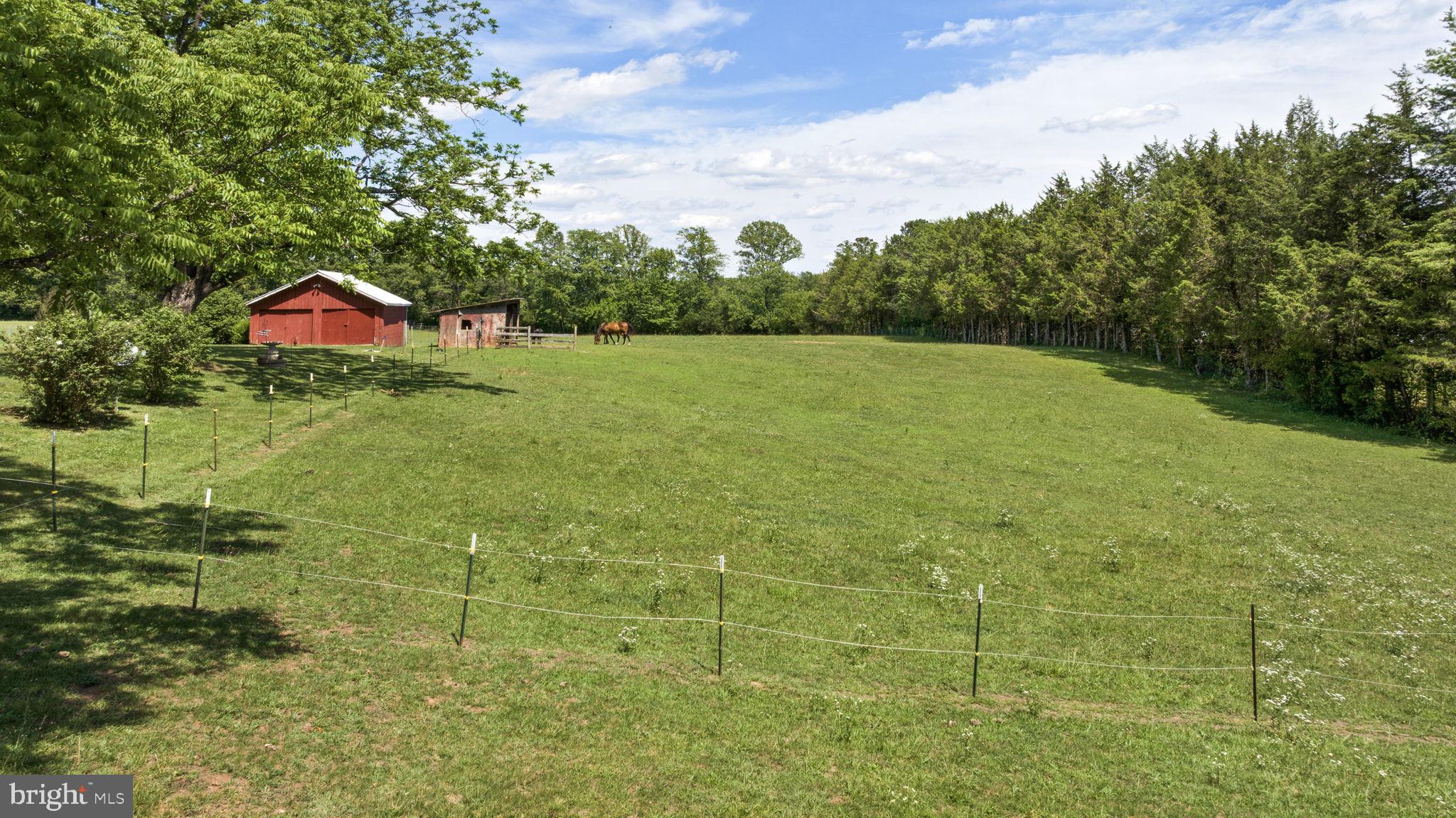 1815 Country Road Beaverdam, VA 23015 - Photo 11 of 104 Beautiful pastures