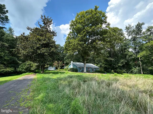 a view of a garden with a bench