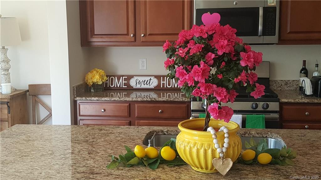371 Ayers Road Fort Mill, SC 29715 - Photo 14 of 41 Gallery Image 14