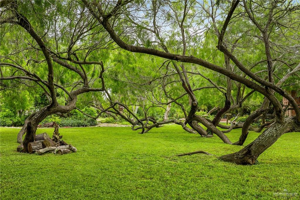 27603 Palo Verde Road San Benito, TX 78586 - Photo 32 of 45 a view of swimming pool with a yard