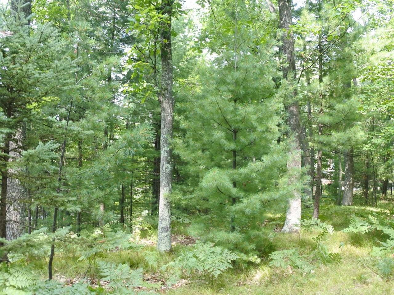 Lot A Egtvedt Road Woodruff, WI 54568 - Photo 27 of 30 Gallery Image 27