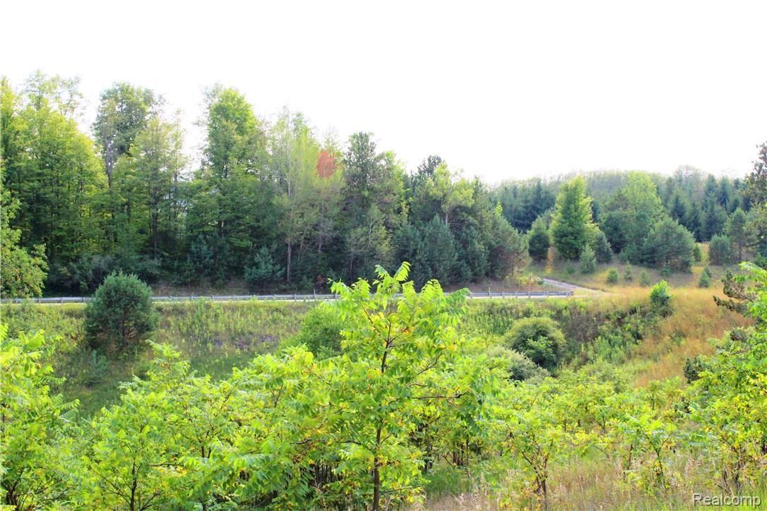 3219 North 17 Road Mesick, MI 49668 - Photo 66 of 68 IMG_1680.JPG