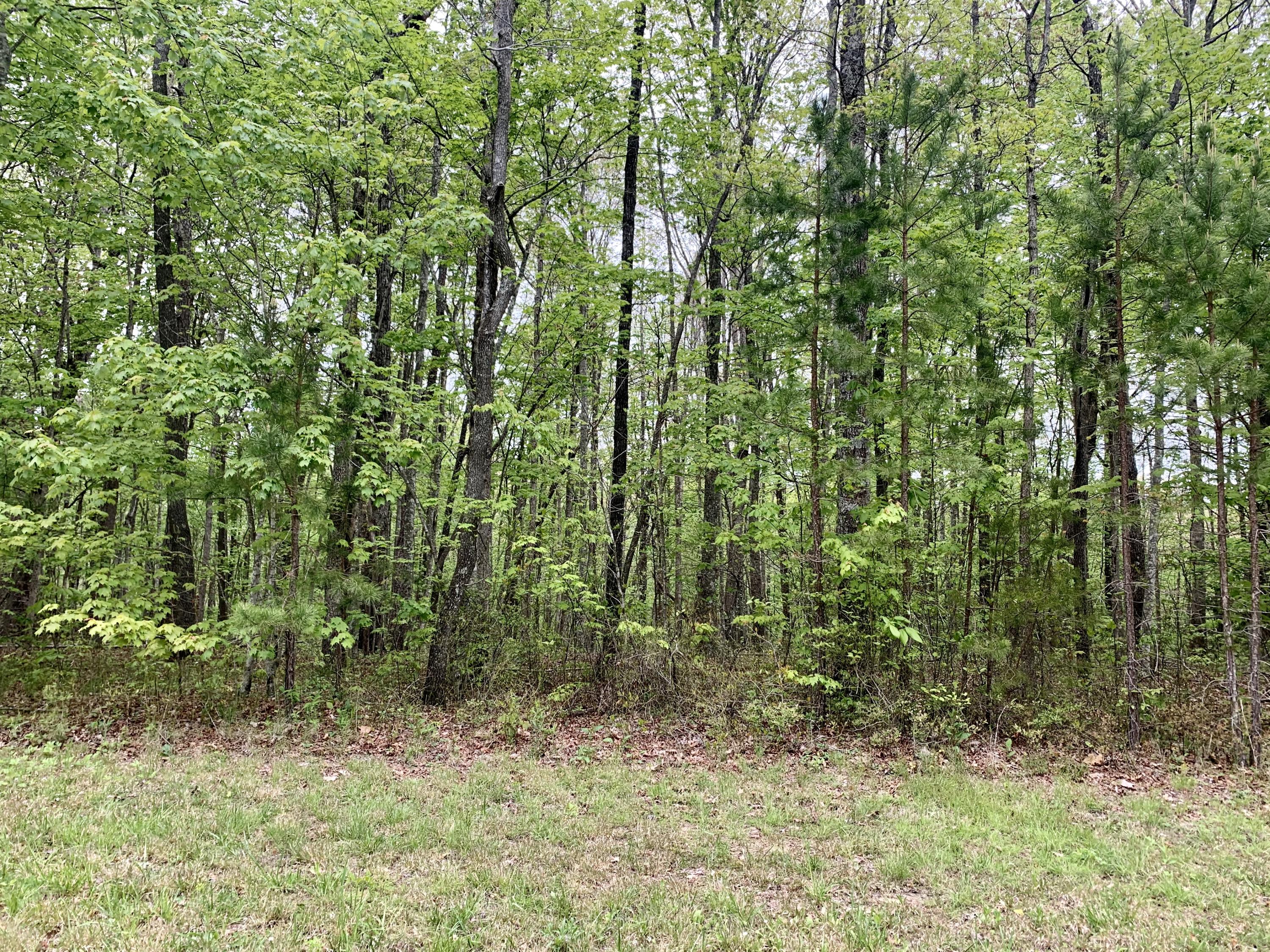 Ridgepoint Road Jamestown, TN 38556 - Photo 1 of 6 4E657EE3-B8DF-4597-AFE5-D974164D1719
