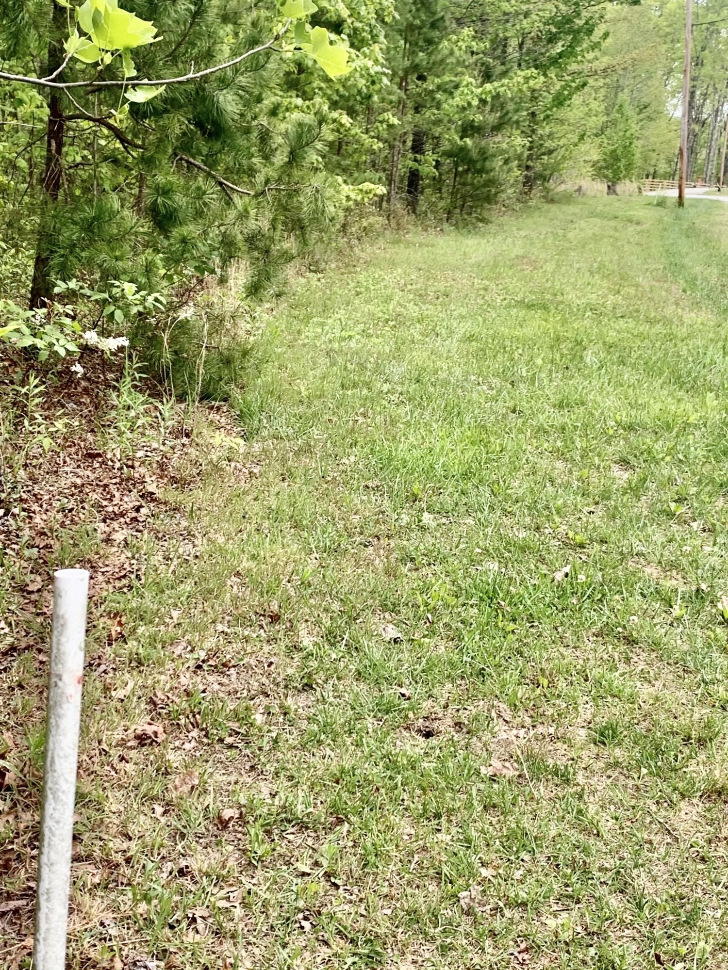 Ridgepoint Road Jamestown, TN 38556 - Photo 5 of 6 50187B8C-C8D7-4998-8EA1-F2A0A37BBF15