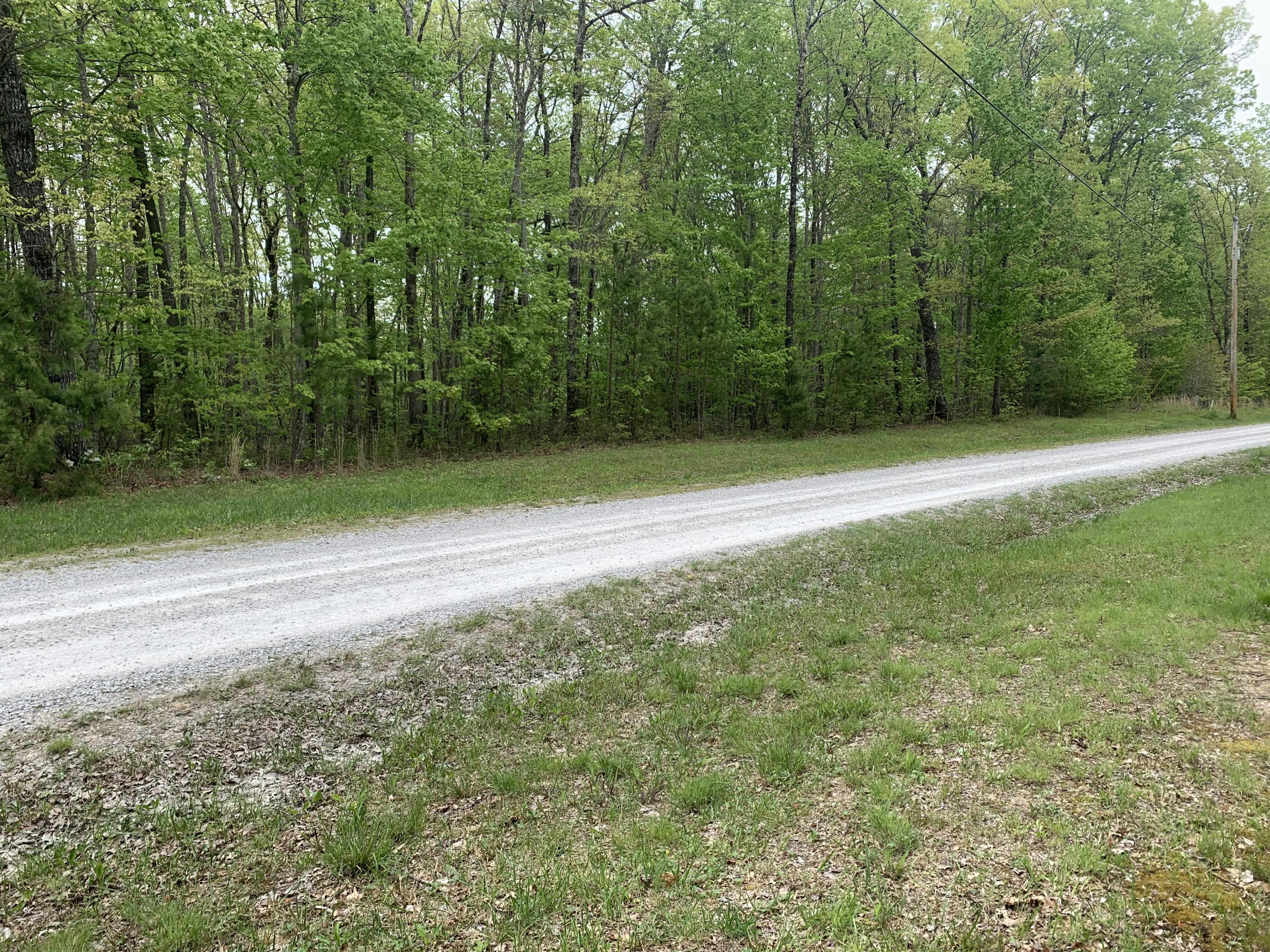 Ridgepoint Road Jamestown, TN 38556 - Photo 6 of 6 78772619-4AB9-4E77-A582-093389DA6B36