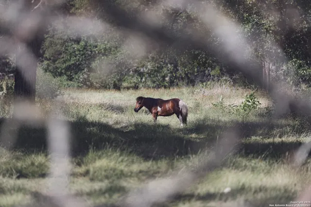 $4,800,000 | 241 Seewald Road, Boerne, TX 78006