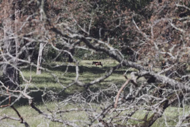 $4,800,000 | 241 Seewald Road, Boerne, TX 78006