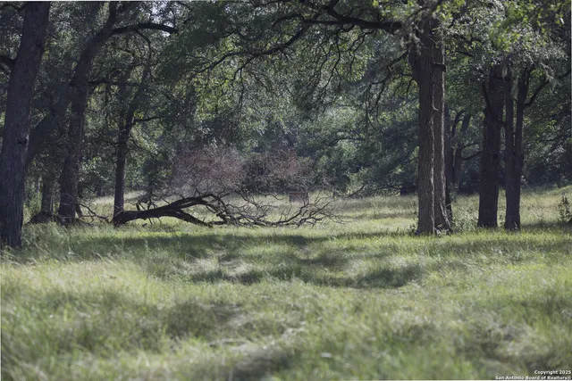 $4,800,000 | 241 Seewald Road, Boerne, TX 78006