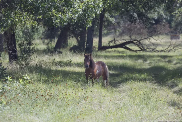 $4,800,000 | 241 Seewald Road, Boerne, TX 78006