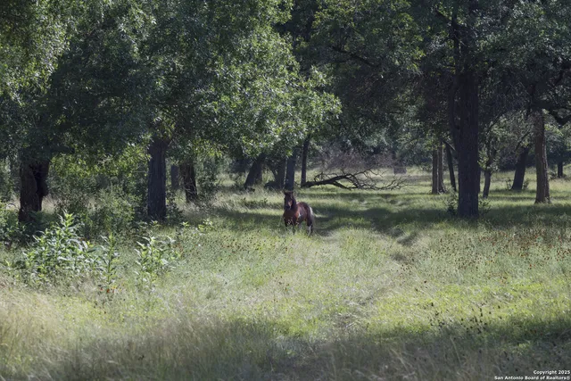 $4,800,000 | 241 Seewald Road, Boerne, TX 78006