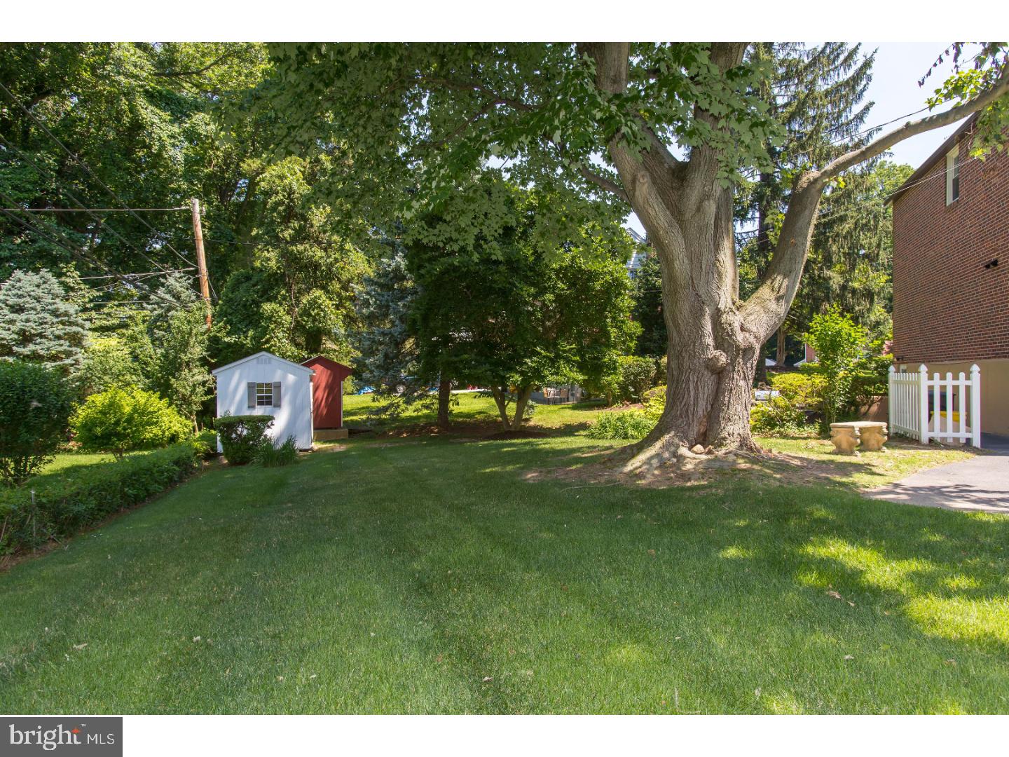 477 Sherman Road Springfield, PA 19064 - Photo 22 of 24 Back Yard