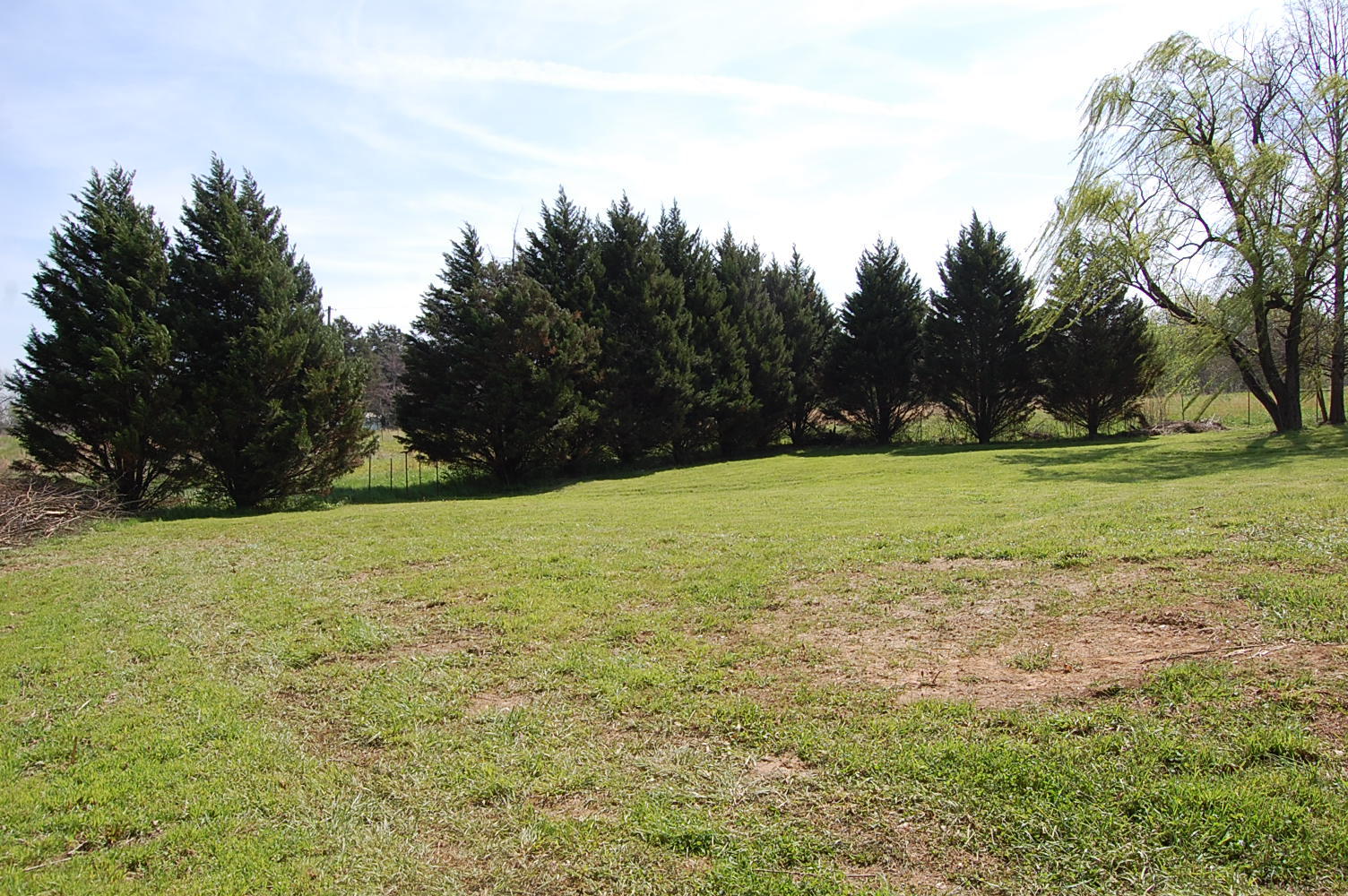 11005 Back Valley Road Evensville, TN 37332 - Photo 14 of 69 1279696 - 11005 Back Valley Rd 013