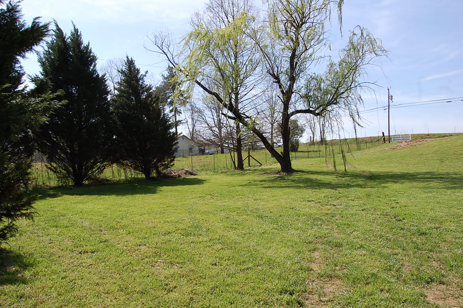 11005 Back Valley Road Evensville, TN 37332 - Photo 15 of 69 1279696 - 11005 Back Valley Rd 014
