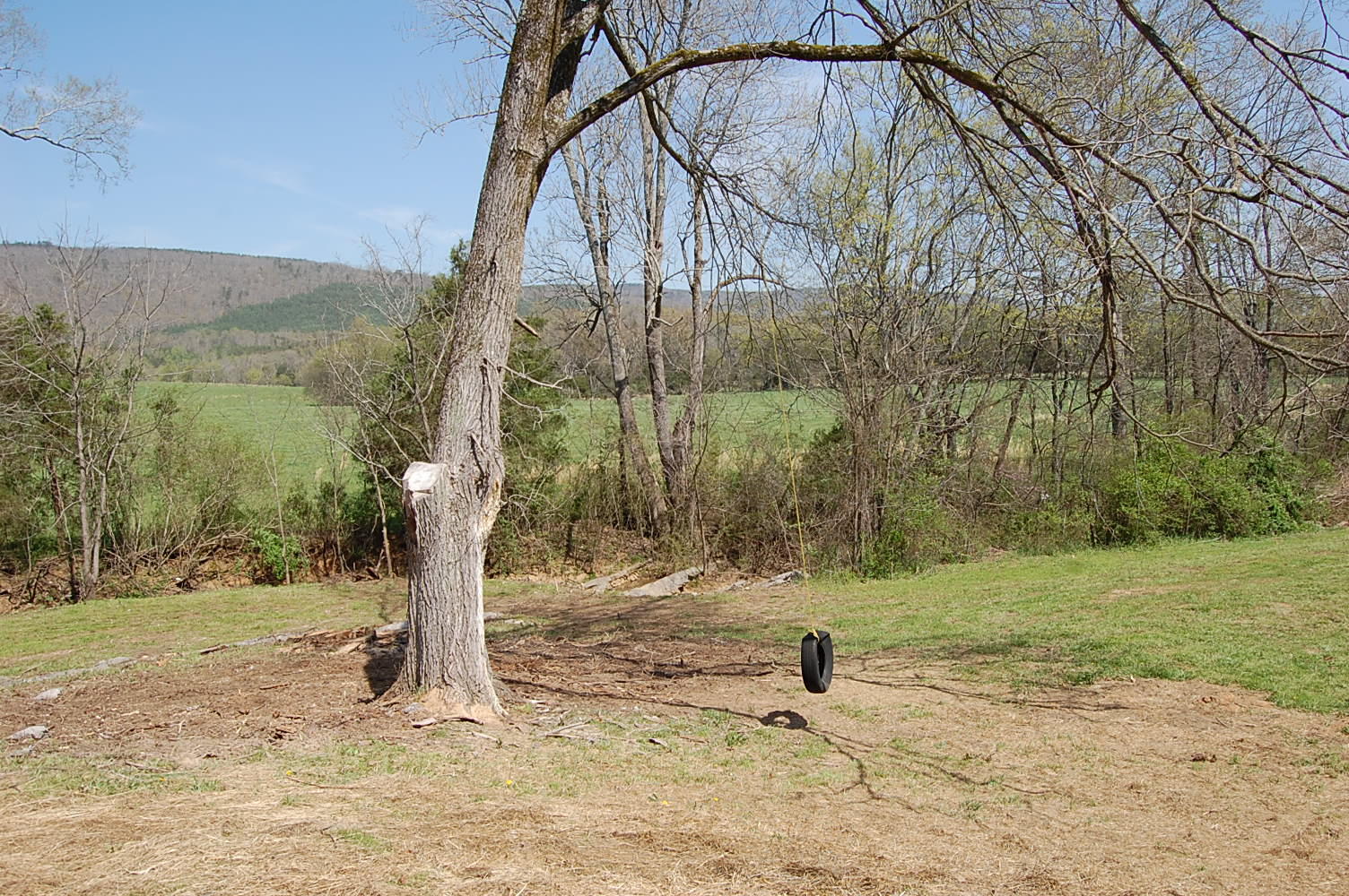 11005 Back Valley Road Evensville, TN 37332 - Photo 39 of 69 1279696 - 11005 Back Valley Rd 068