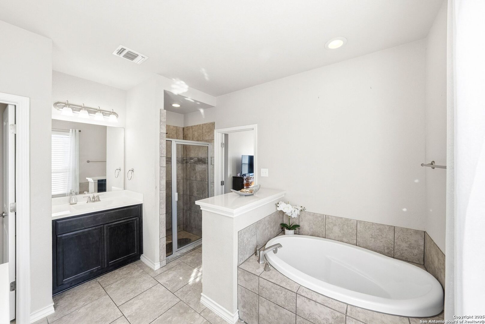 30622 Horseshoe Path Bulverde, TX 78163 - Photo 20 of 44 a bathroom with a toilet sink and mirror