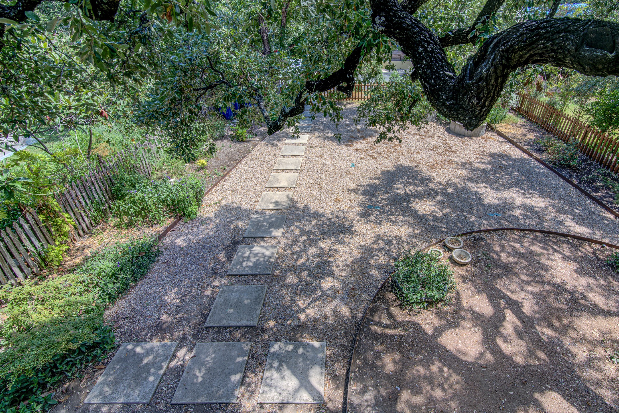 311 West Mary Street Austin, TX 78704 - Photo 5 of 35 A tranquil backyard retreat features a stepping stone path, surrounded by lush foliage and a wooden fence.