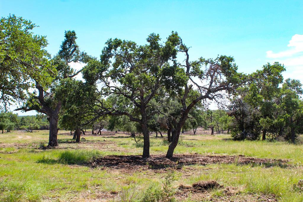 121 Paloma Ranch Rd Mountain Mountain Home, TX 78058 - Photo 1 of 6