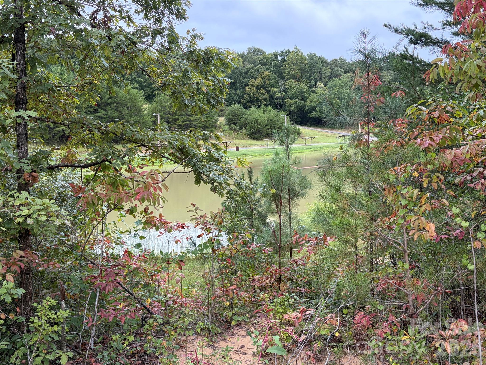 V/l West Thompson Road Rutherfordton, NC 28139 - Photo 21 of 21 Gallery Image 21