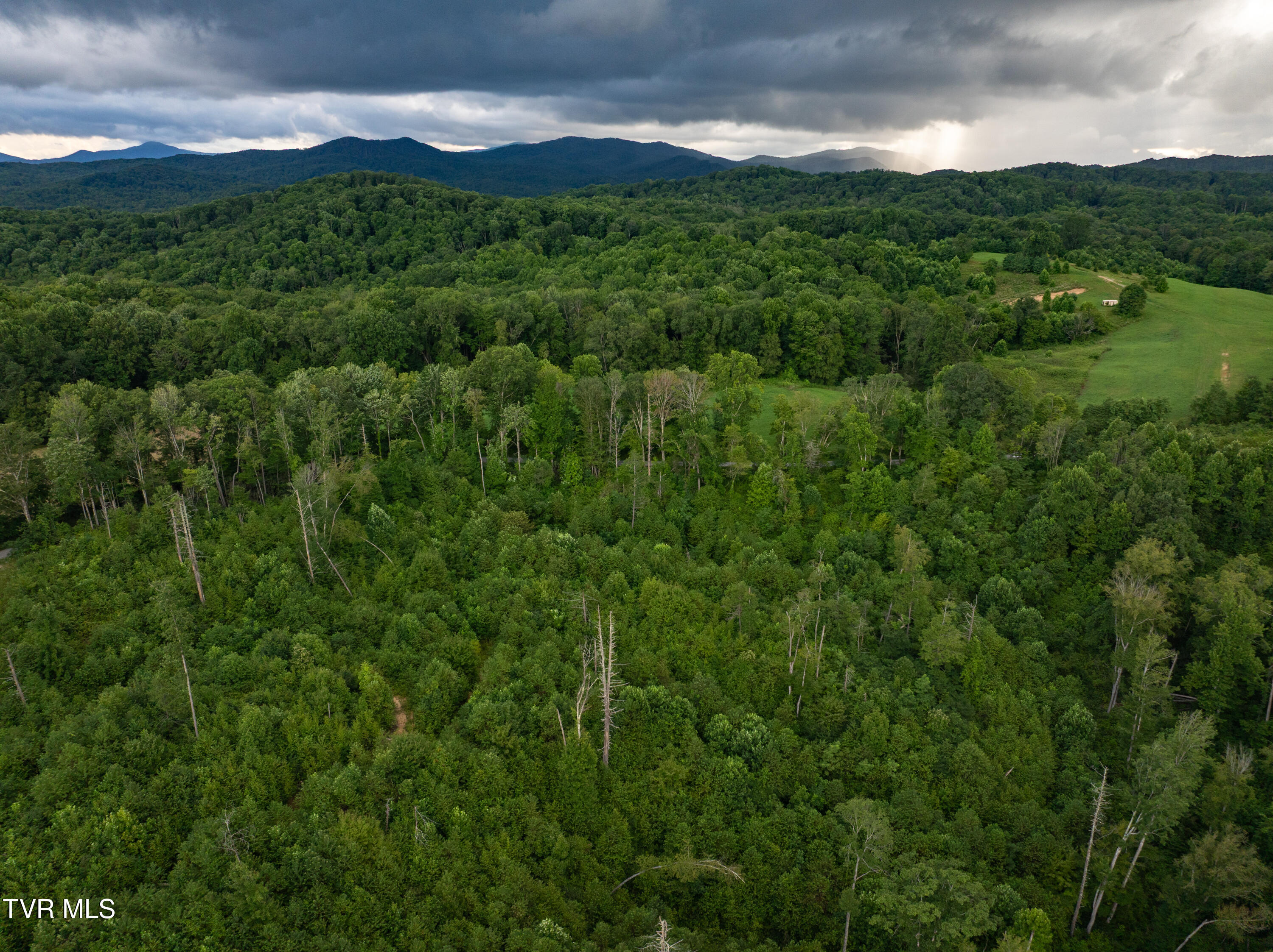Tbd Walnut Mountain Road, Unit TBD Butler, TN 37640 - Photo 19 of 22 DJI_20250802180531_0772_D