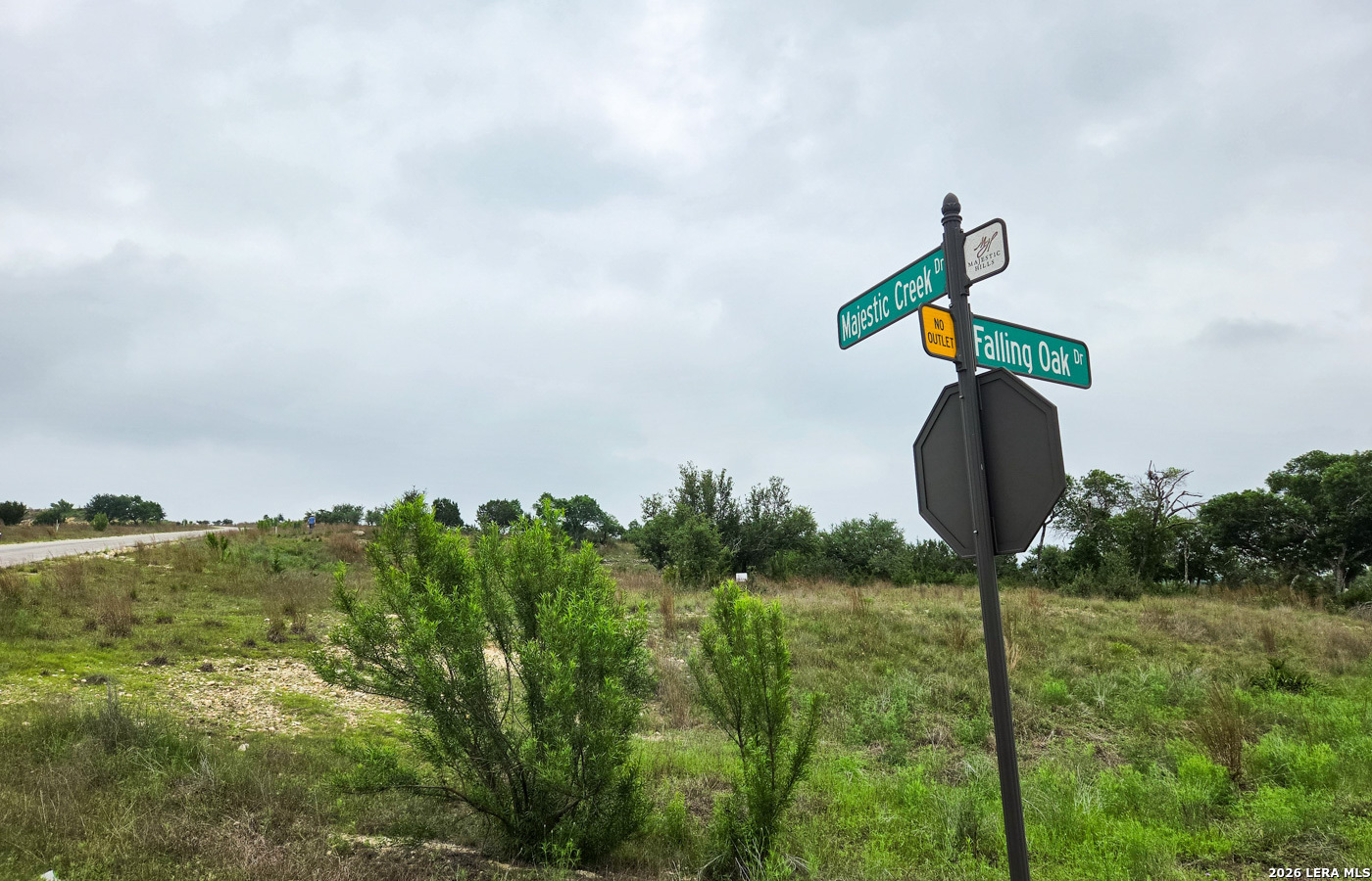 Tbd Falling Oak Blanco, TX 78606 - Photo 5 of 21