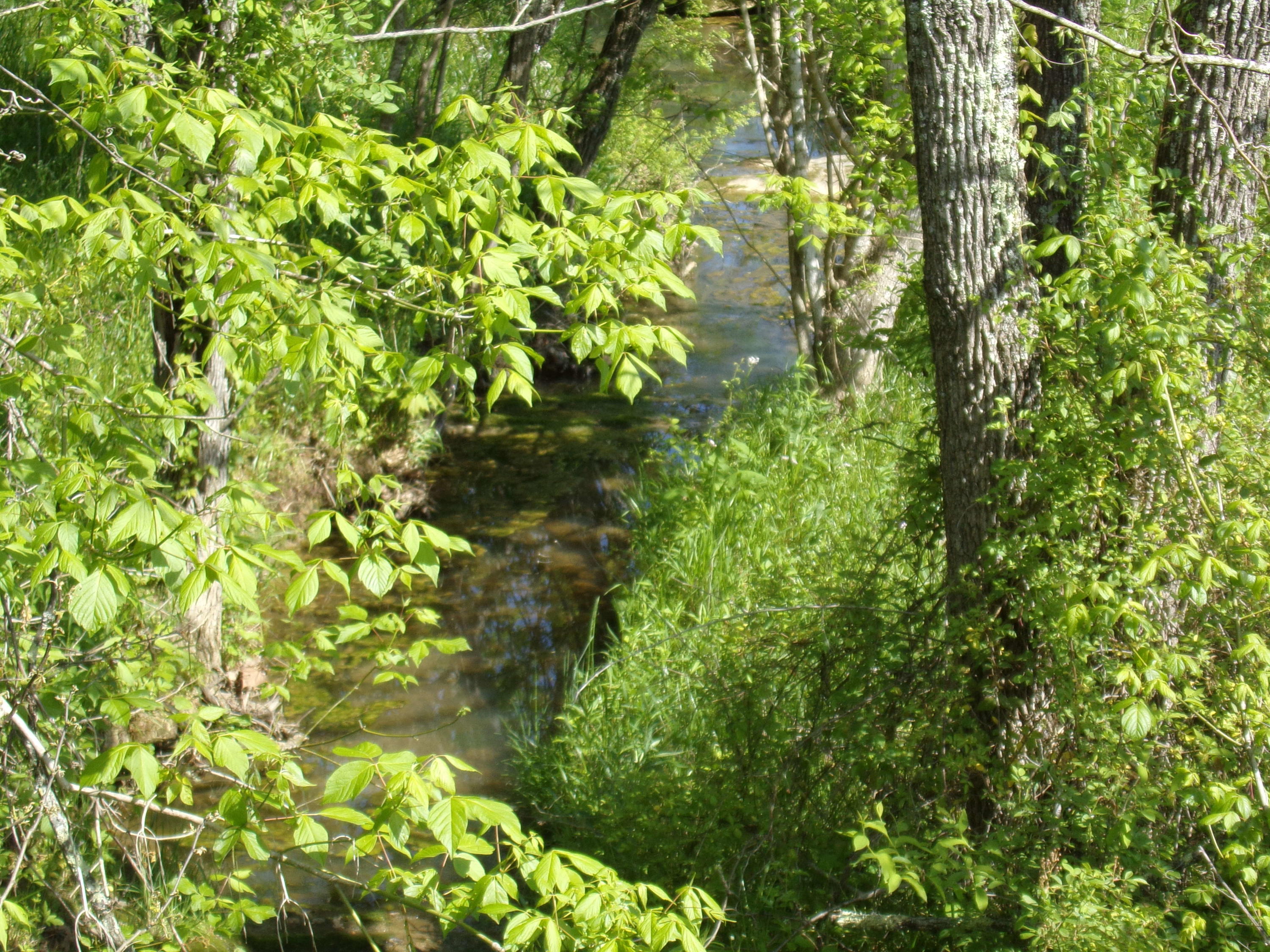 Clinch Valley Road Eidson, TN 37731 - Photo 3 of 3 100_6583