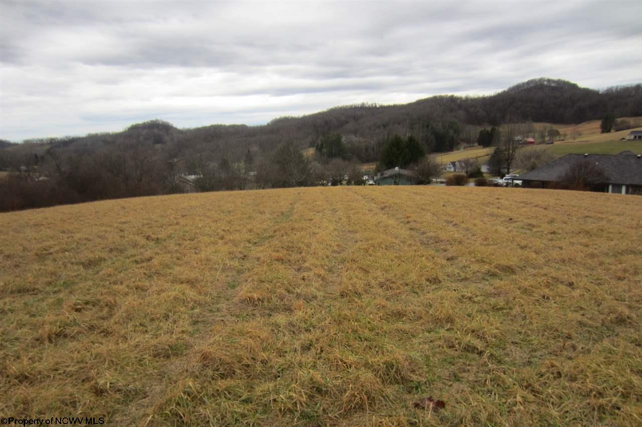 Tbd Oak Ridge Drive Mount Clare, WV 26408 - Photo 5 of 11 Gallery Image 5