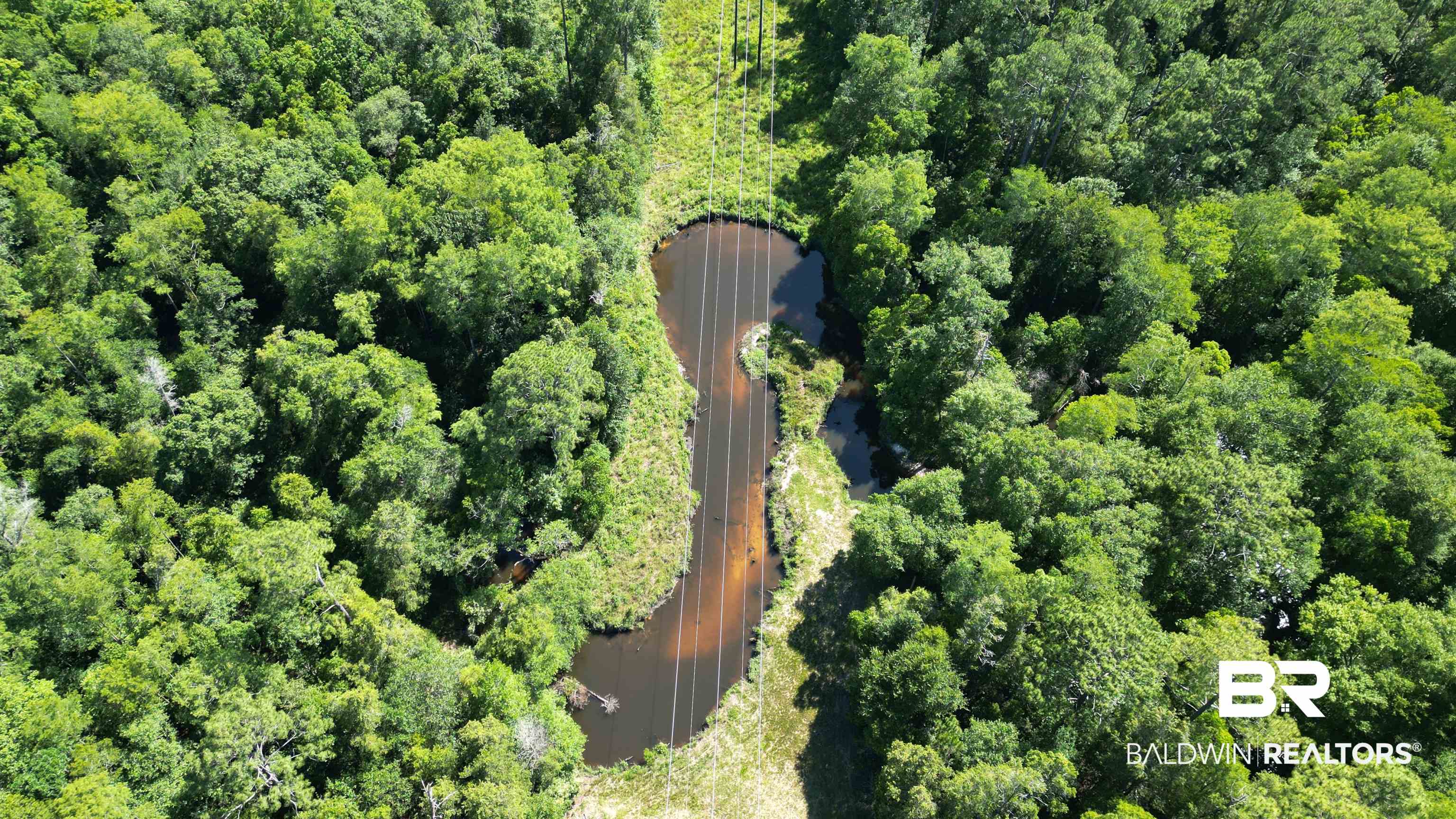 0 County Road 87 Elberta, AL 36530 - Photo 13 of 46