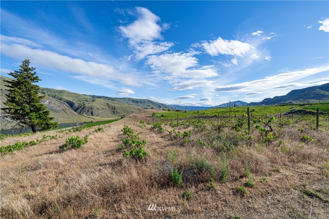 354 Substation Road Chelan, WA 98816 - Photo 23 of 31 Gallery Image 23