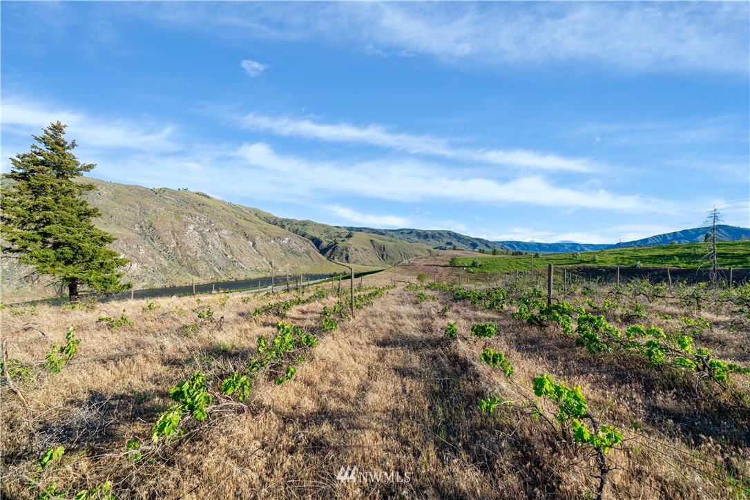 354 Substation Road Chelan, WA 98816 - Photo 30 of 31 Gallery Image 30