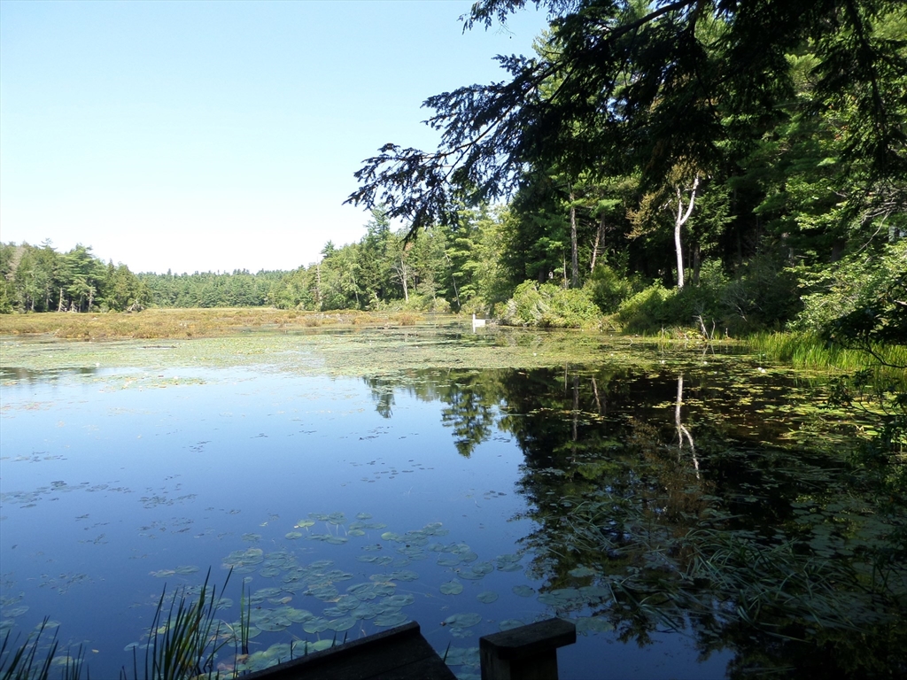 A Damon Pond Road Chesterfield, MA 01012 - Photo 3 of 6 a view of a lake from a yard