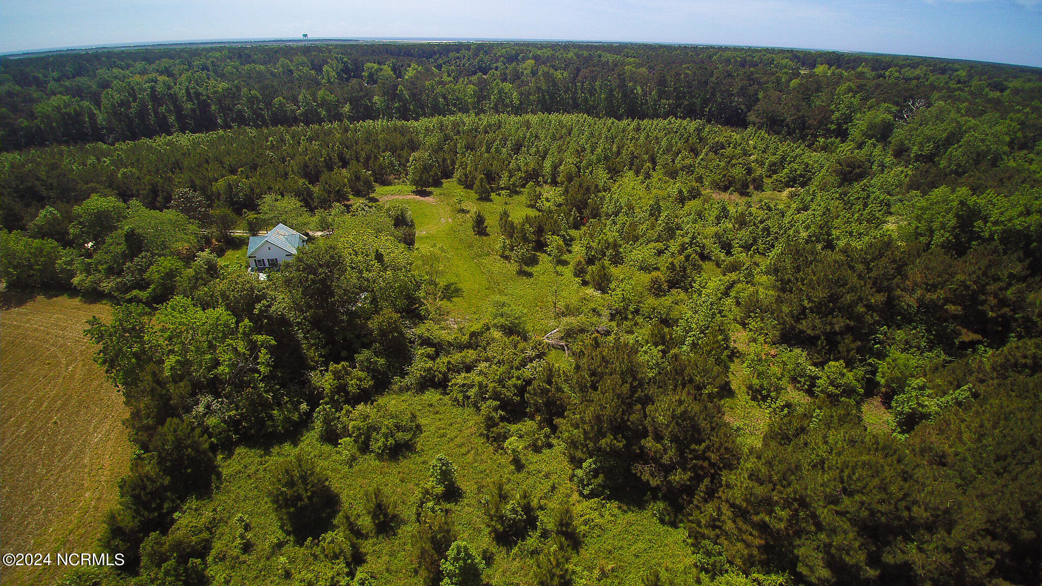 0 Queens Creek Road Hubert, NC 28539 - Photo 17 of 30 part of the woods on lot 2