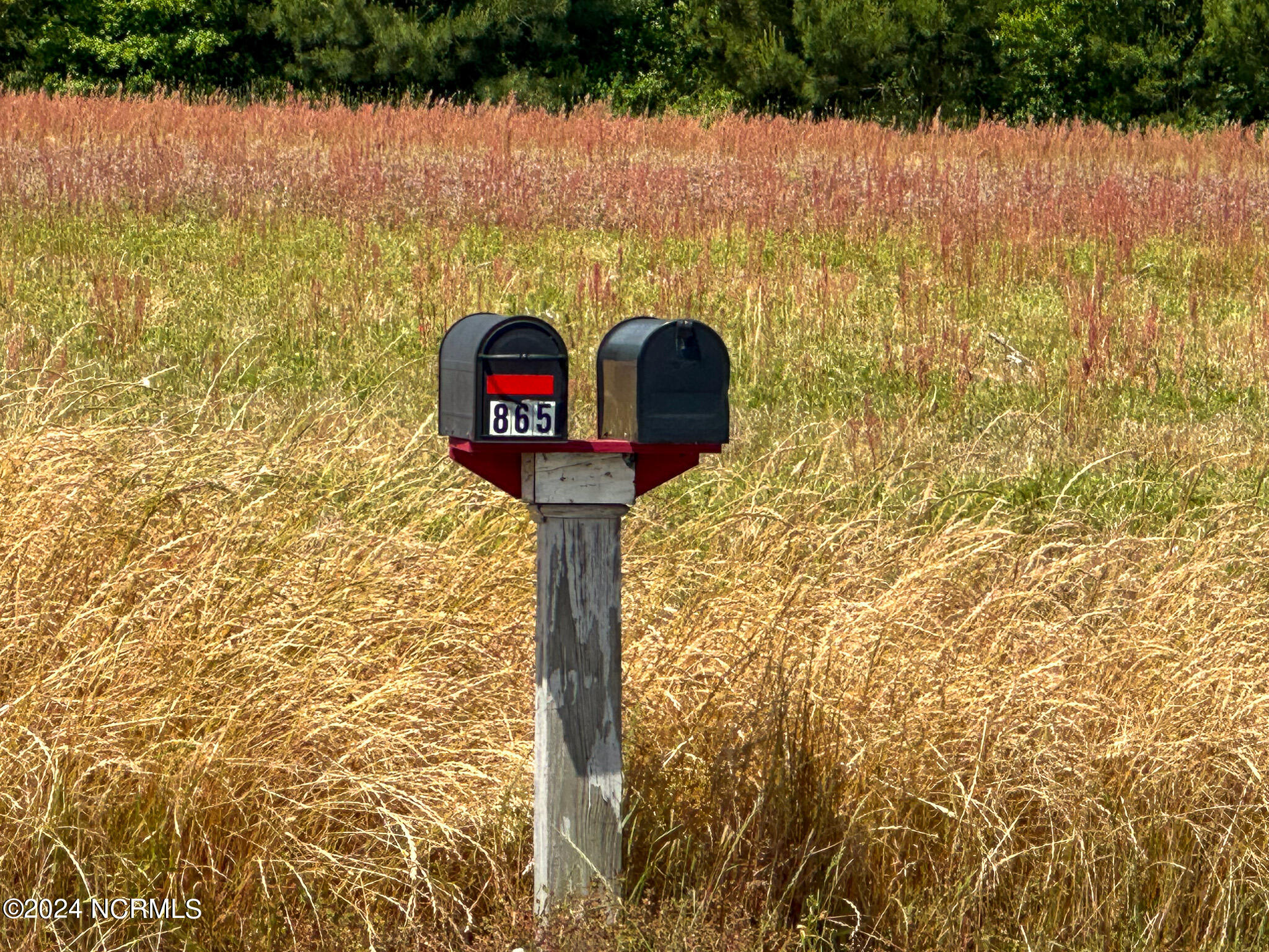 0 Queens Creek Road Hubert, NC 28539 - Photo 6 of 30 mailbox across from Lot 3