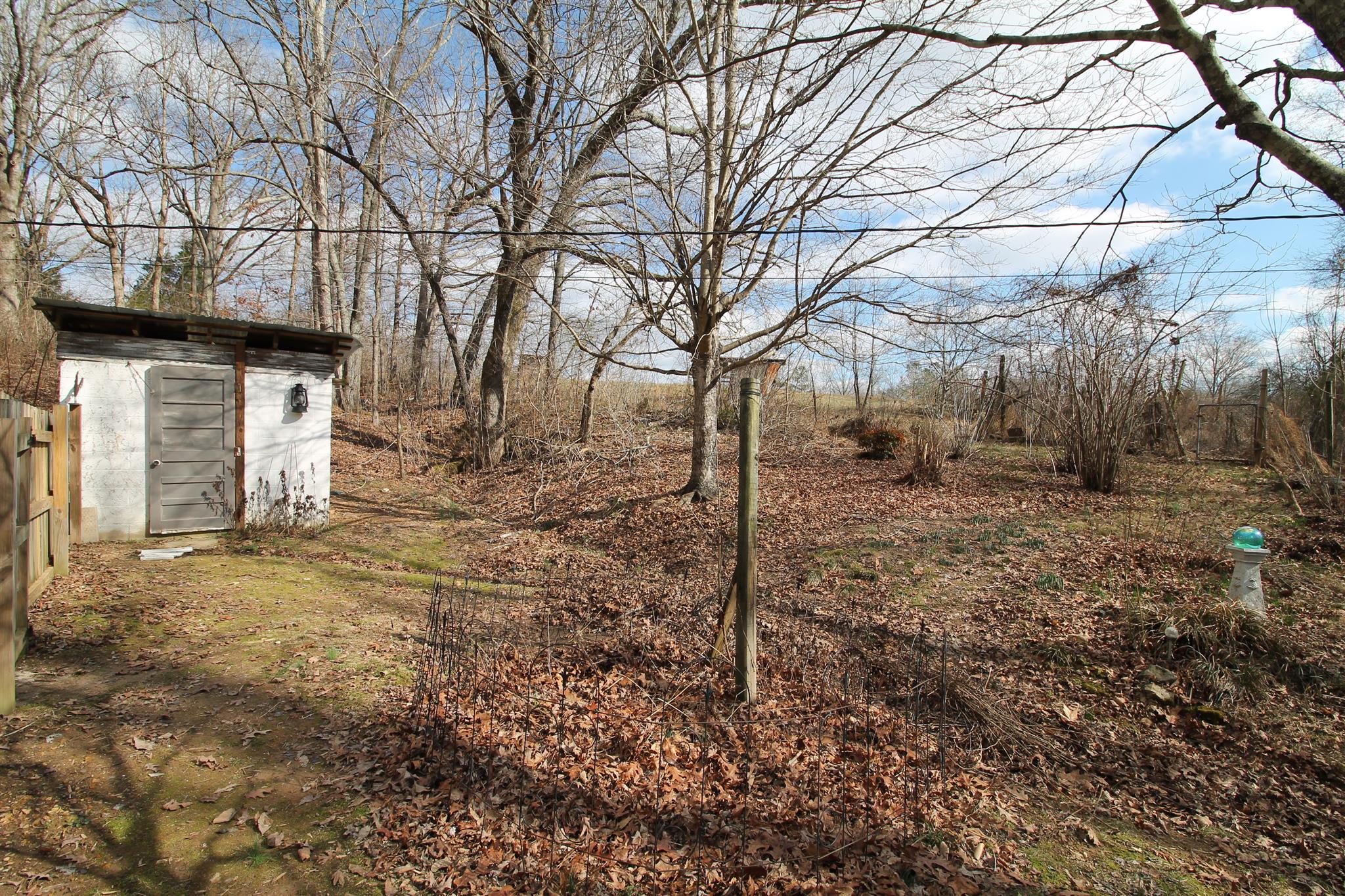 7205 Sleepy Hollow Road Fairview, TN 37062 - Photo 24 of 26 a backyard of a house with lots of trees