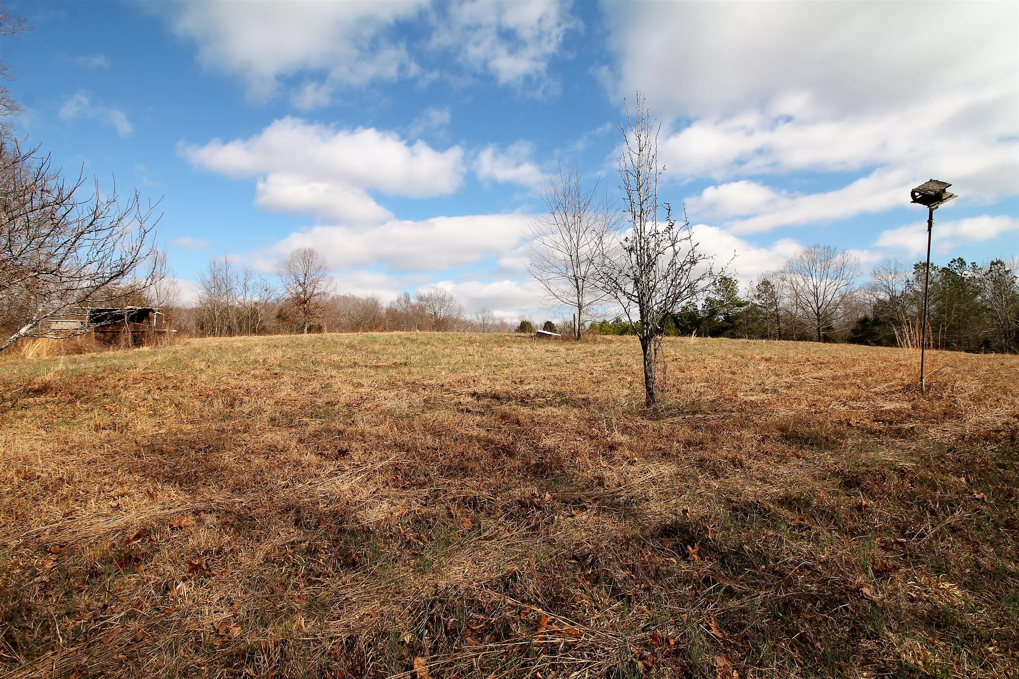 7205 Sleepy Hollow Road Fairview, TN 37062 - Photo 25 of 26 a backyard of a house