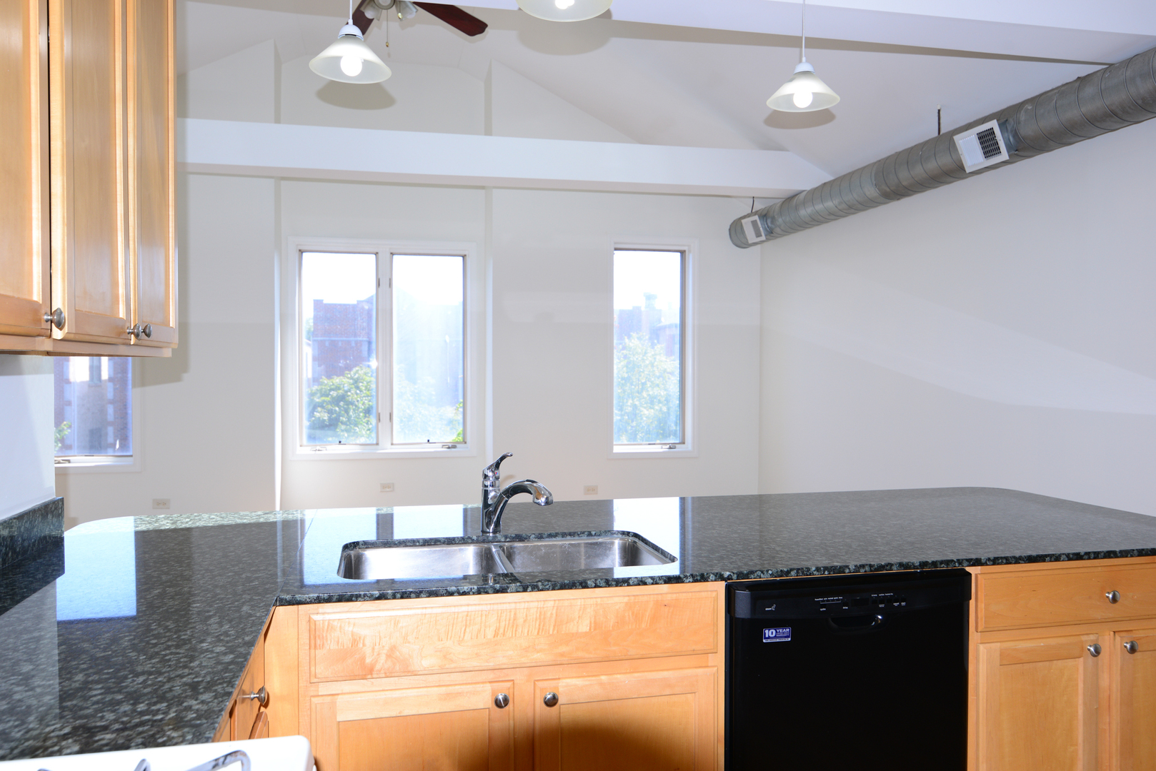 2334 West Harrison Street, Unit 4 Chicago, IL 60612 - Photo 10 of 19