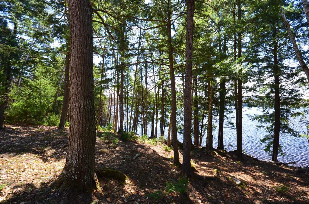 L2 Houston Road Lincoln, ME 04457 - Photo 1 of 14 Photo