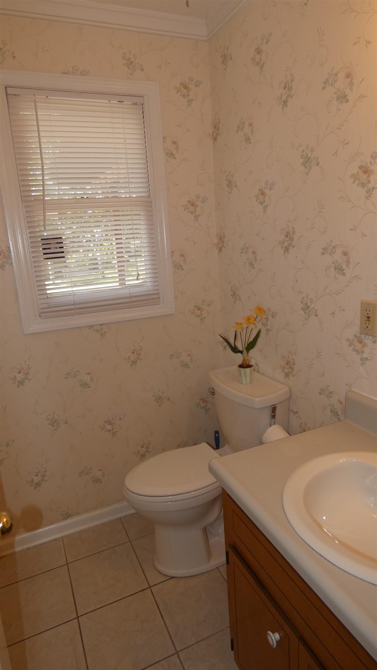 365 Holly Road Monticello, FL 32344 - Photo 5 of 22 Gallery Image 5