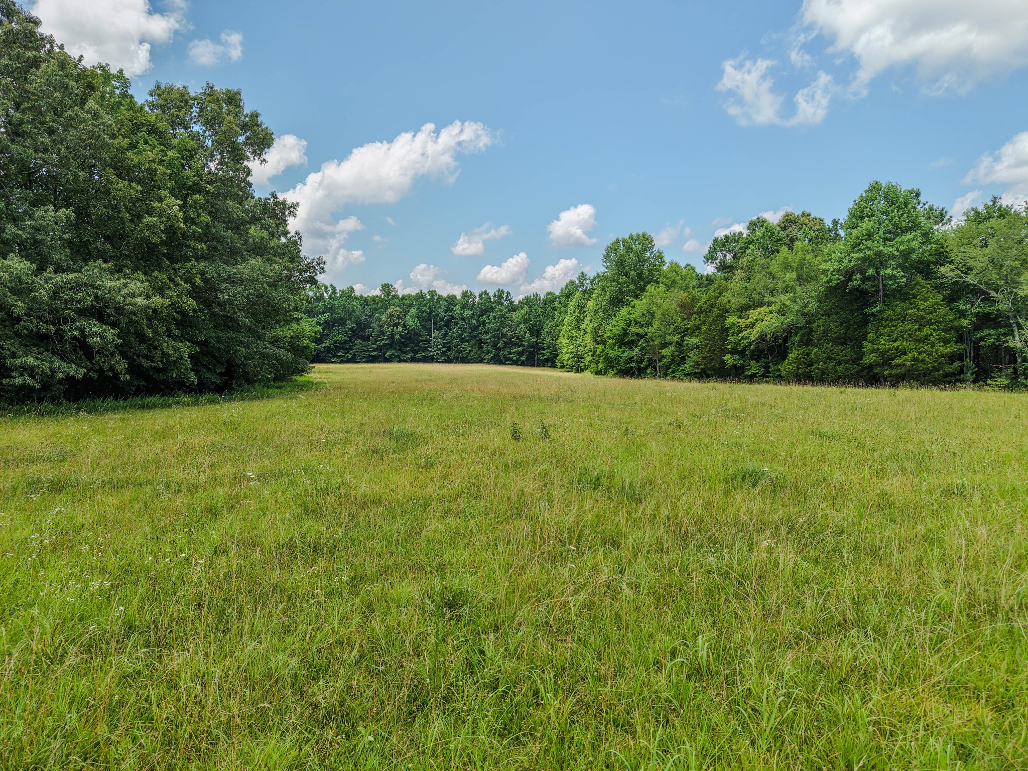 215 Clear Creek Road Leoma, TN 38468 - Photo 7 of 13