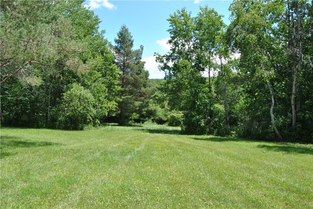 10322 Mattoon Road Prattsburgh, NY 14873 - Photo 16 of 20 Path leading to the trails in the woods