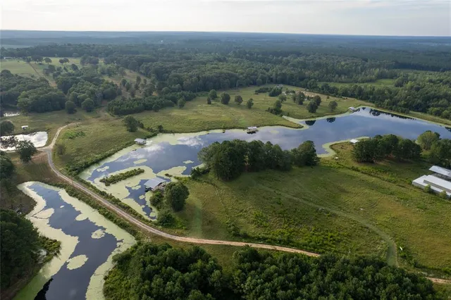 an aerial view of residential houses with outdoor space and trees