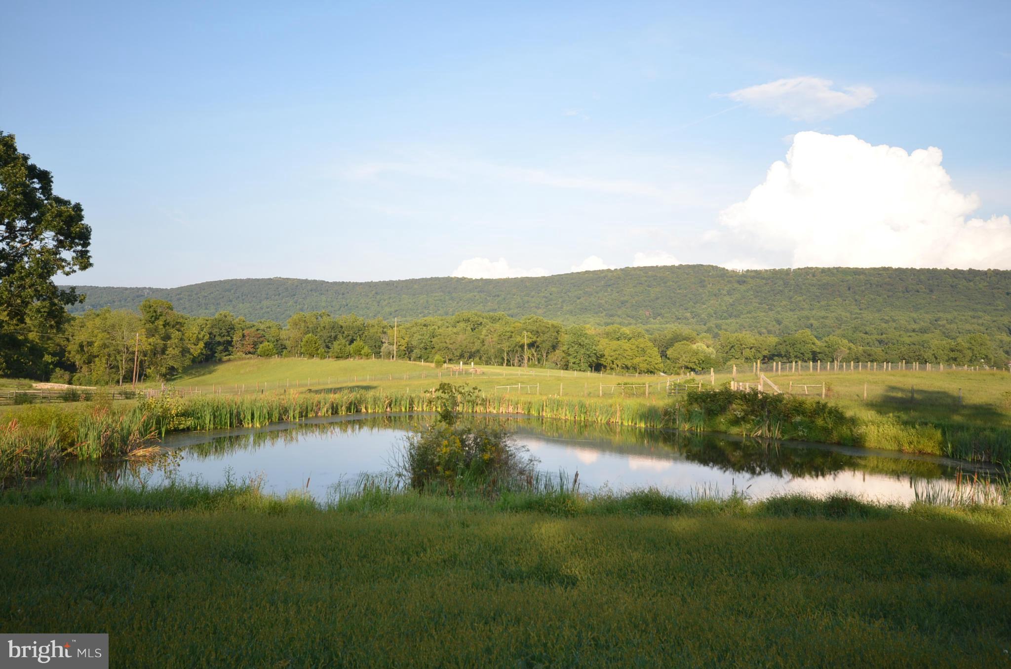 12717 Harpers Ferry Road Purcellville, VA 20132 - Photo 26 of 26 View