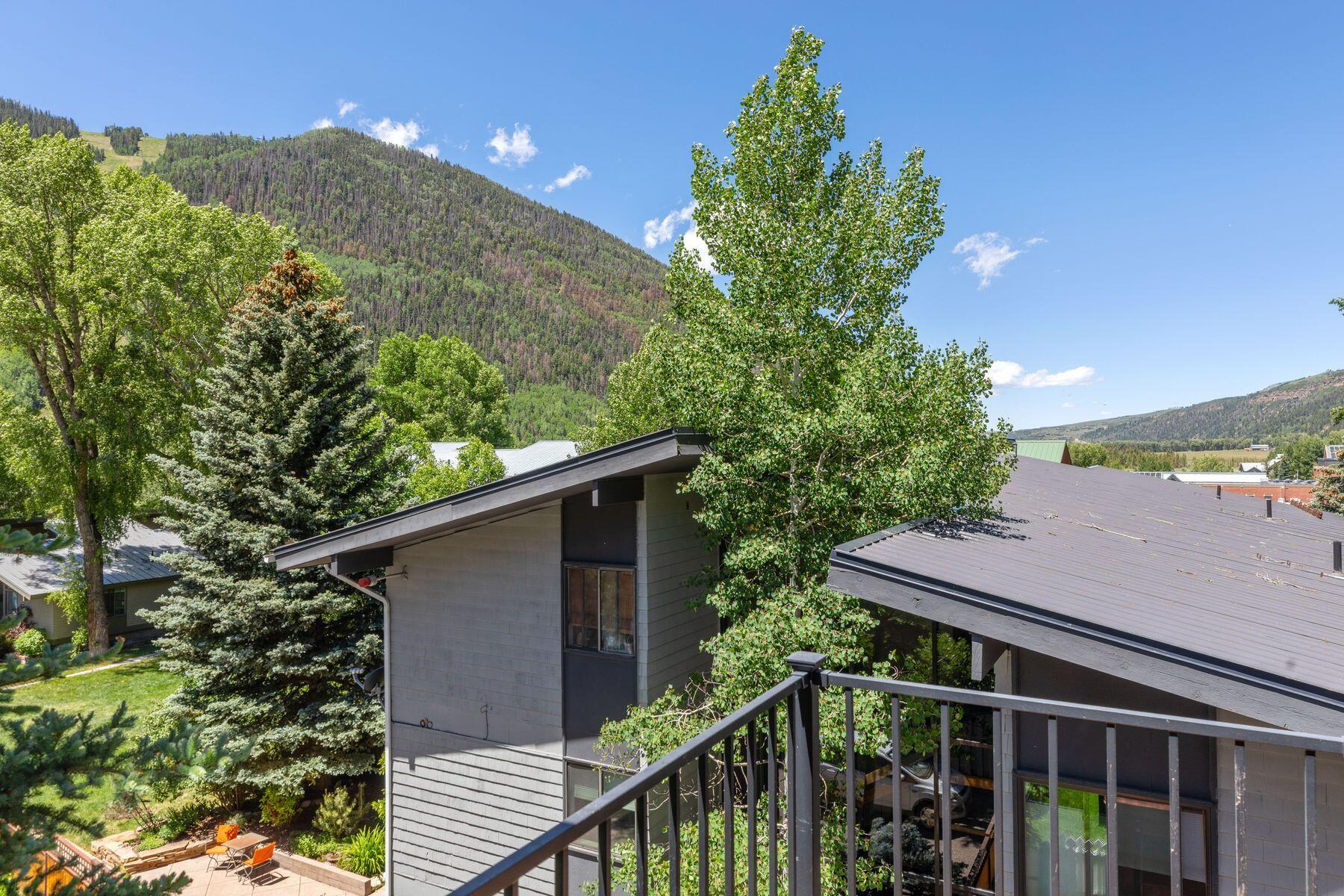 239 North Davis Street Telluride, CO 81435 - Photo 38 of 42 photo_online_037