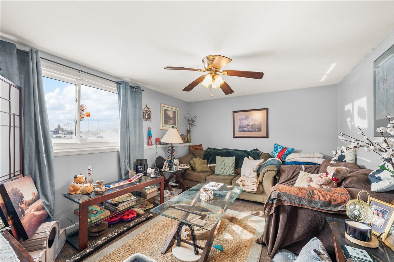 125 South Cayuga Street Buchanan, MI 49107 - Photo 5 of 12