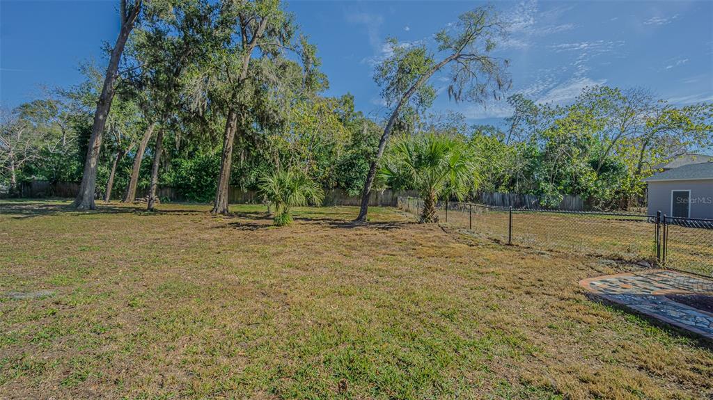3801 Durant Road Valrico, FL 33596 - Photo 51 of 53 a backyard of a house with lots of green space