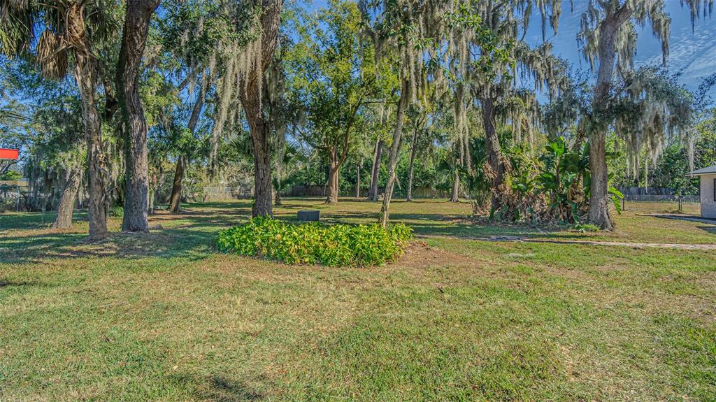 3801 Durant Road Valrico, FL 33596 - Photo 55 of 56 a view of a park with large trees
