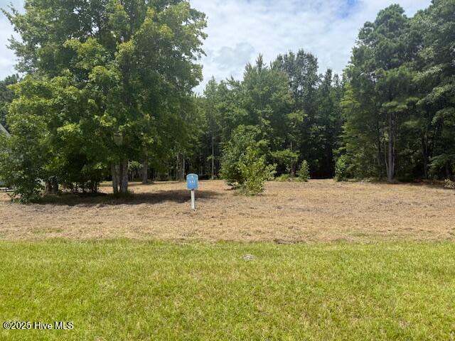 175 Colleton Circle Edenton, NC 27932 - Photo 3 of 11 IMG_7657